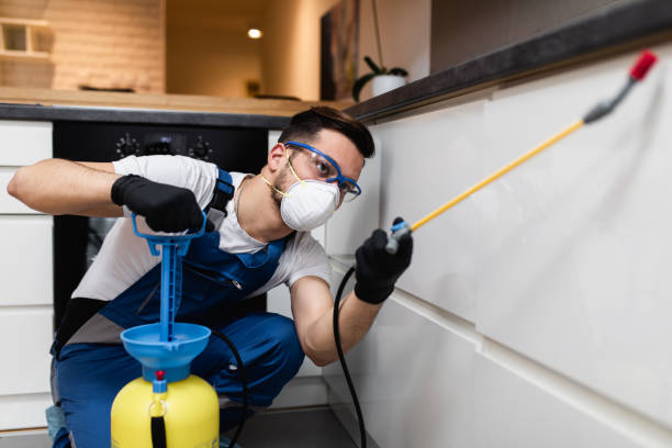 Best Affordable Pest Control Services  in Lake Barrington, IL