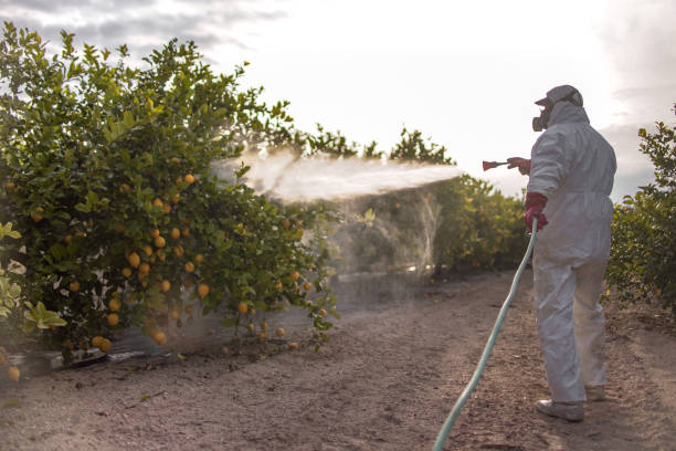 Best Pest Inspection Near Me  in Lake Barrington, IL