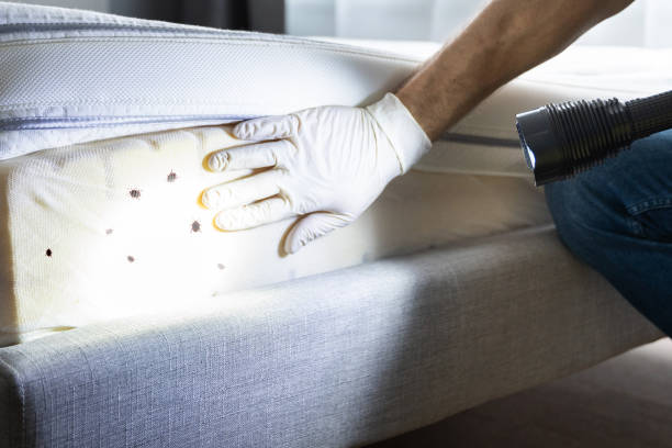 Best Best Pest Control Companies  in Lake Barrington, IL