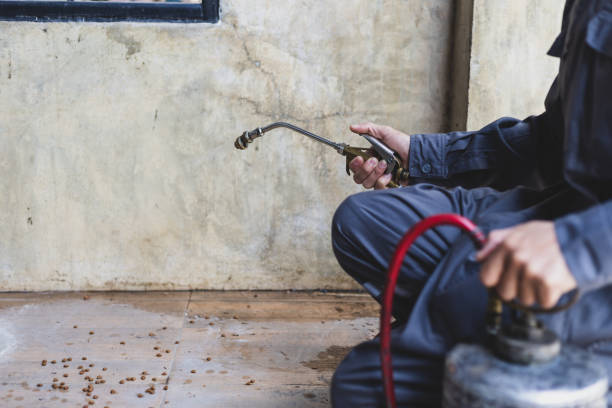 Best Exterminator Services  in Lake Barrington, IL